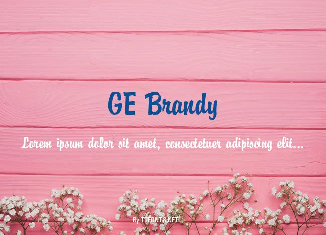 GE Brandy example